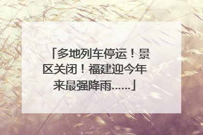 多地列车停运！景区关闭！福建迎今年来最强降雨……