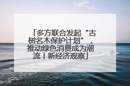 多方联合发起“古树名木保护计划”，推动绿色消费成为潮流丨新经济观察