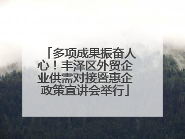 多项成果振奋人心！丰泽区外贸企业供需对接暨惠企政策宣讲会举行