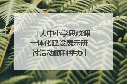 大中小学思政课一体化建设展示研讨活动顺利举办
