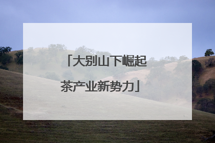 大别山下崛起茶产业新势力