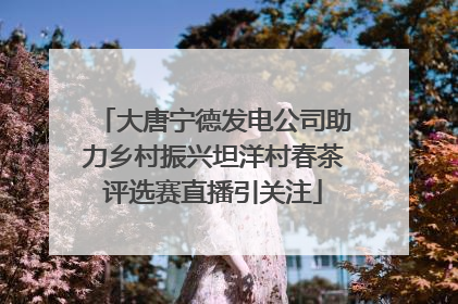 大唐宁德发电公司助力乡村振兴坦洋村春茶评选赛直播引关注