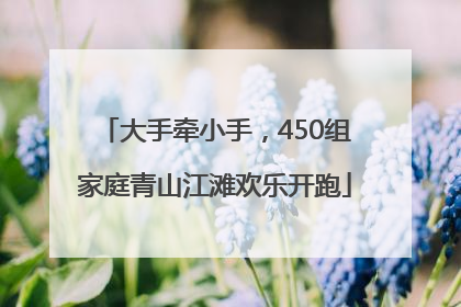 大手牵小手，450组家庭青山江滩欢乐开跑