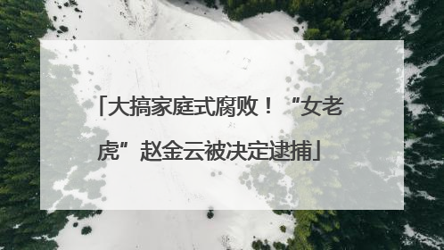 大搞家庭式腐败！“女老虎”赵金云被决定逮捕