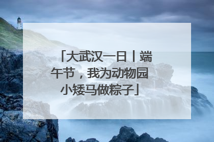 大武汉一日丨端午节，我为动物园小矮马做粽子