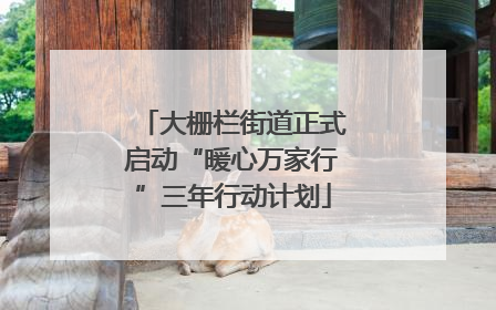 大栅栏街道正式启动“暖心万家行”三年行动计划