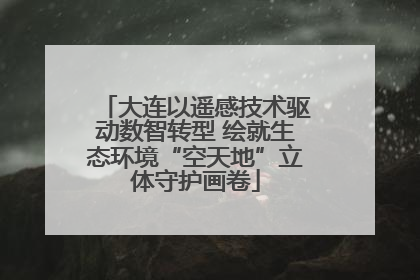 大连以遥感技术驱动数智转型 绘就生态环境“空天地”立体守护画卷