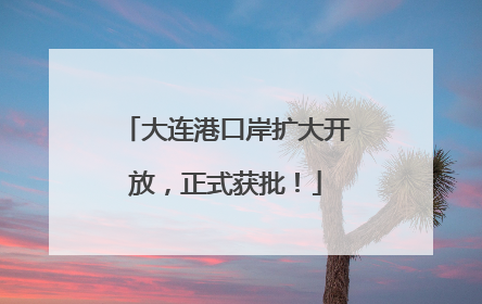 大连港口岸扩大开放，正式获批！