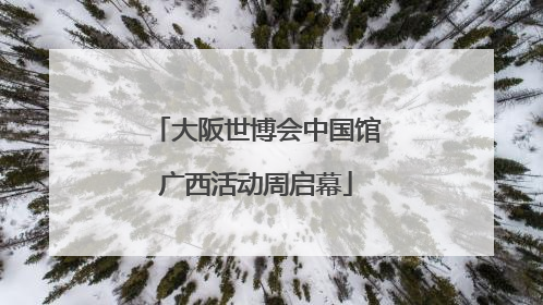 大阪世博会中国馆广西活动周启幕