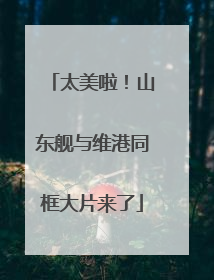 太美啦！山东舰与维港同框大片来了