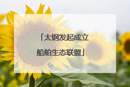 太钢发起成立船舶生态联盟
