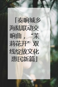 奏响城乡海陆联动交响曲，“茉莉花开”双线绽放文化惠民新篇