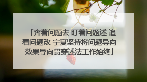 奔着问题去 盯着问题述 追着问题改 宁夏坚持将问题导向效果导向贯穿述法工作始终