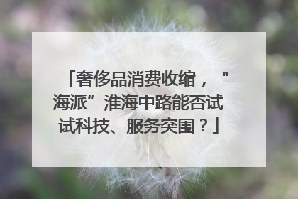奢侈品消费收缩，“海派”淮海中路能否试试科技、服务突围？