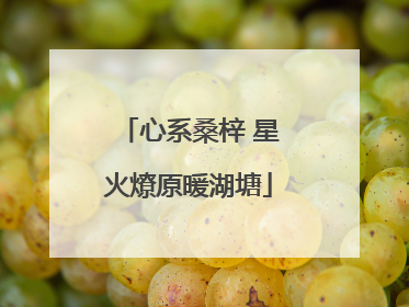 心系桑梓 星火燎原暖湖塘
