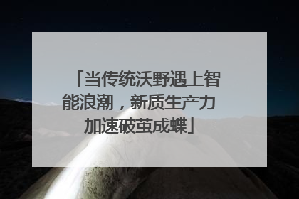 当传统沃野遇上智能浪潮，新质生产力加速破茧成蝶
