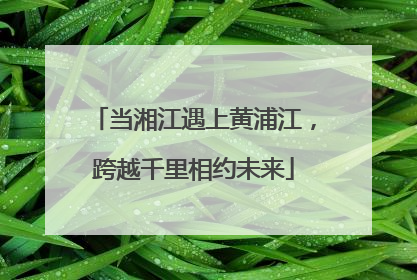 当湘江遇上黄浦江，跨越千里相约未来