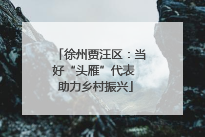 徐州贾汪区：当好“头雁”代表 助力乡村振兴