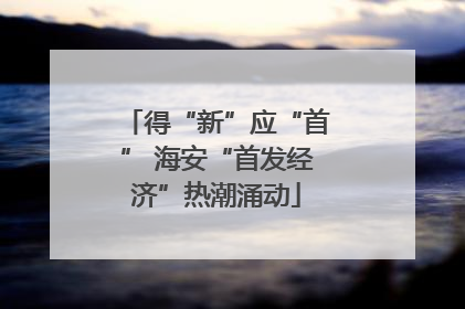 得“新”应“首” 海安“首发经济”热潮涌动