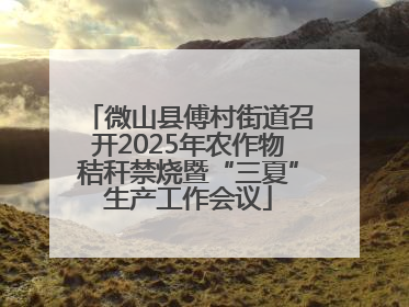 微山县傅村街道召开2025年农作物秸秆禁烧暨“三夏”生产工作会议