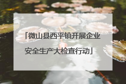 微山县西平镇开展企业安全生产大检查行动