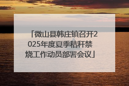 微山县韩庄镇召开2025年度夏季秸秆禁烧工作动员部署会议