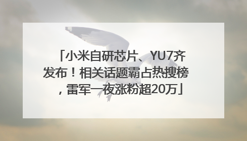 小米自研芯片、YU7齐发布！相关话题霸占热搜榜，雷军一夜涨粉超20万