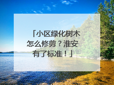 小区绿化树木怎么修剪？淮安有了标准！