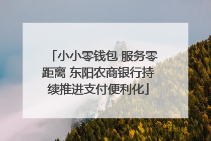 小小零钱包 服务零距离 东阳农商银行持续推进支付便利化