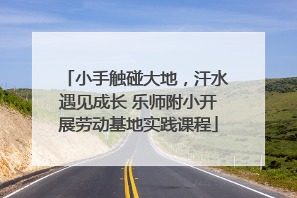 小手触碰大地，汗水遇见成长 乐师附小开展劳动基地实践课程