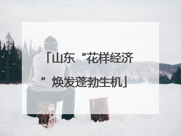 山东“花样经济”焕发蓬勃生机