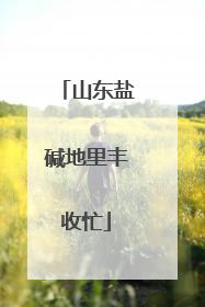 山东盐碱地里丰收忙
