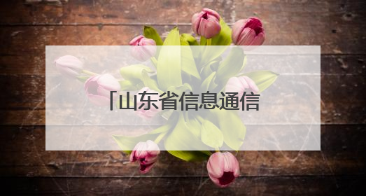 山东省信息通信行业低空经济发展大会在日照召开
