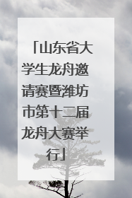 山东省大学生龙舟邀请赛暨潍坊市第十二届龙舟大赛举行