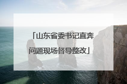 山东省委书记直奔问题现场督导整改