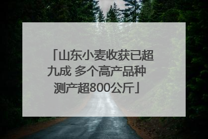 山东小麦收获已超九成 多个高产品种测产超800公斤