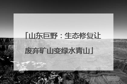 山东巨野：生态修复让废弃矿山变绿水青山