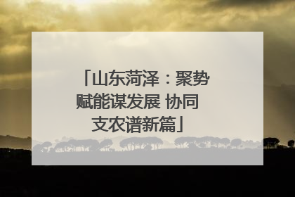山东菏泽：聚势赋能谋发展 协同支农谱新篇
