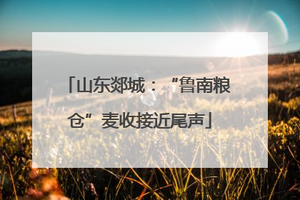 山东郯城：“鲁南粮仓”麦收接近尾声