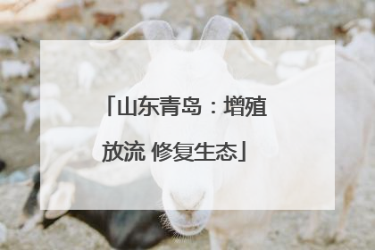 山东青岛：增殖放流 修复生态