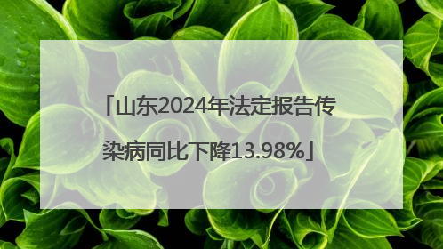 山东2024年法定报告传染病同比下降13.98%