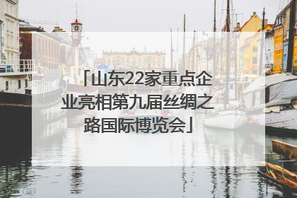 山东22家重点企业亮相第九届丝绸之路国际博览会