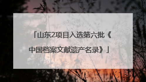 山东2项目入选第六批《中国档案文献遗产名录》