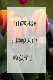 山西永济：种粮大户收获忙
