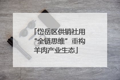 岱岳区供销社用“全链思维”重构羊肉产业生态