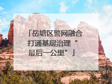 岳塘区警网融合 打通基层治理“最后一公里”