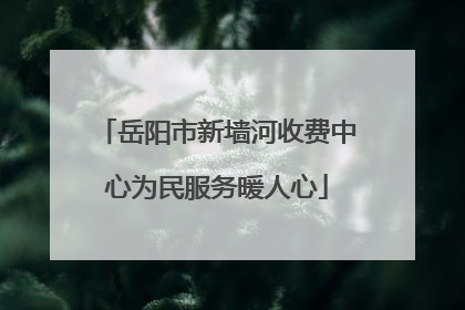 岳阳市新墙河收费中心为民服务暖人心