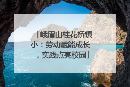 峨眉山桂花桥镇小：劳动赋能成长，实践点亮校园
