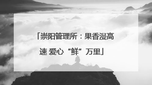 崇阳管理所：果香漫高速 爱心“鲜”万里