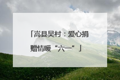 嵩县吴村：爱心捐赠情暖“六一”